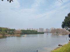 -洋湖国家湿地公园