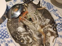 油盐水蒸珍珠斑-顺峰海鲜酒楼(省府店)