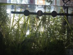 -茶庐(百花洲路店)