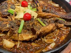 -老板恋上鱼(恒隆广场店)