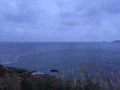 -枸杞岛