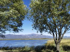 -野鸭湖国家湿地公园