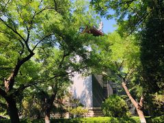 -山东大学(趵突泉校区)