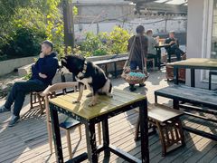 -餐酒吧Com-ing Bar(上海路店)
