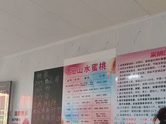 -老袁家蜜桃农场·阳山水蜜桃