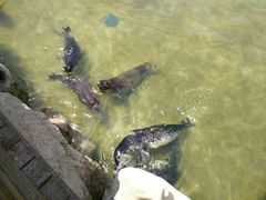 -华夏文旅西安度假区