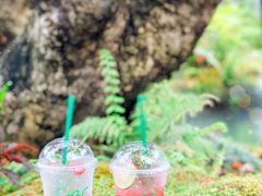 -Chom Cafe and Restaurant