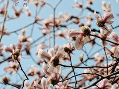 -东华门大街小区