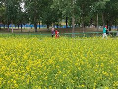 -长白岛森林公园