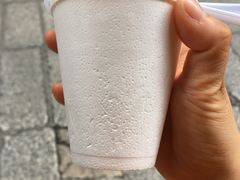 -洪馨椰子