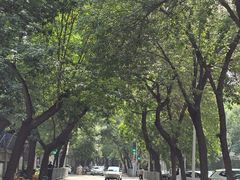 -静园(和平区)