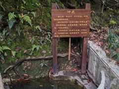 -十八棵（老龙井）御茶园(老龙井店)