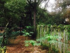 -北海金海湾红树林生态旅游区