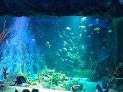 -沈阳海洋探索中心