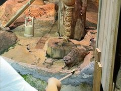 -正佳雨林生态植物园