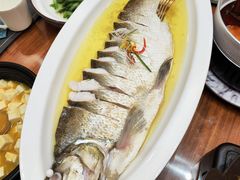 -鲁宴·鲁煨黄河生态大鲤鱼(月坛店)