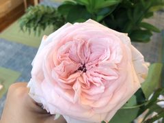 -森野花艺培训·企业团建活动沙龙