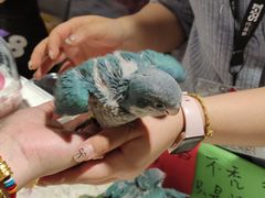 -东浩兰生上海世博展览馆