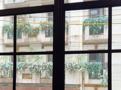 -小杨生煎(黄河路店)