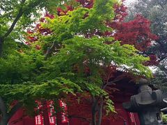 -东京国立博物馆