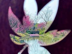 -花开海上生态园