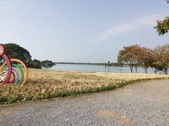 -贡湖湾湿地公园