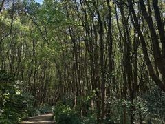-同里国家湿地公园