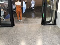 -雾与山茶(大禹城店)