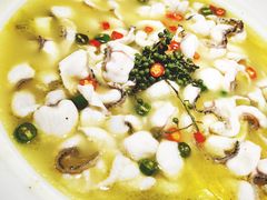 青花椒一代（小分）-青花椒花椒鱼(合生汇店)