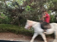-养马岛旅游度假区
