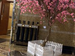 -银子铁板烧料理自助餐(人民广场店)