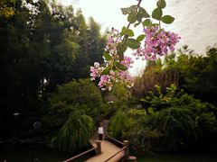 -汇龙潭