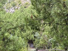 -佛慧山