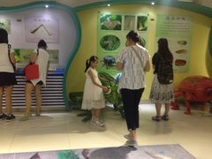 -上海昆虫博物馆