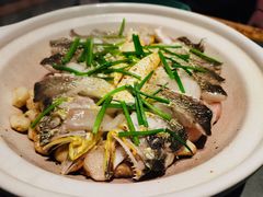 盐焗深海大黄鱼-晟永興烤鸭店(五道口店)