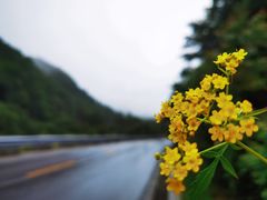 -秦岭风景区