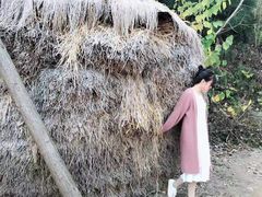 -千年银杏谷文化旅游区