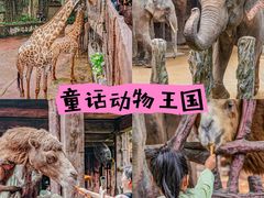 -长鹿旅游休博园