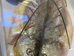 -赶海部落海鲜城(海阳路店)