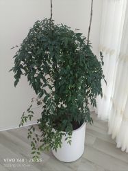 -HEYAN荷妍专业脱毛连锁机构