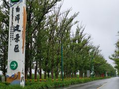 -白洋淀景区