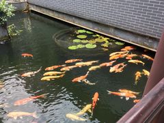 -桃园盛宴·岭南粤菜·手工茶点(南庄店)