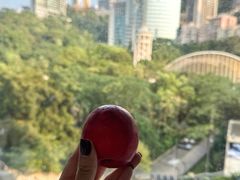 -尼依格罗香港美利酒店