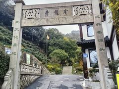 -十八棵（老龙井）御茶园(老龙井店)