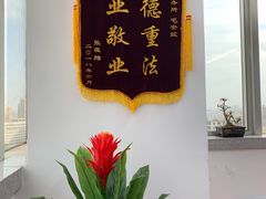 -君申律师事务所