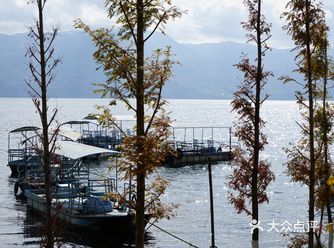 在水里飘荡着，白云朵朵