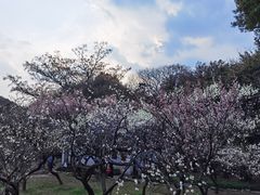 -无锡梅园公园