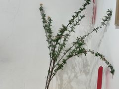 -素咫咖啡CLIFEROSE
