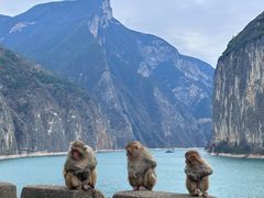 -白帝城·瞿塘峡景区