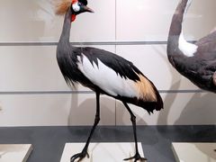 -大连自然博物馆